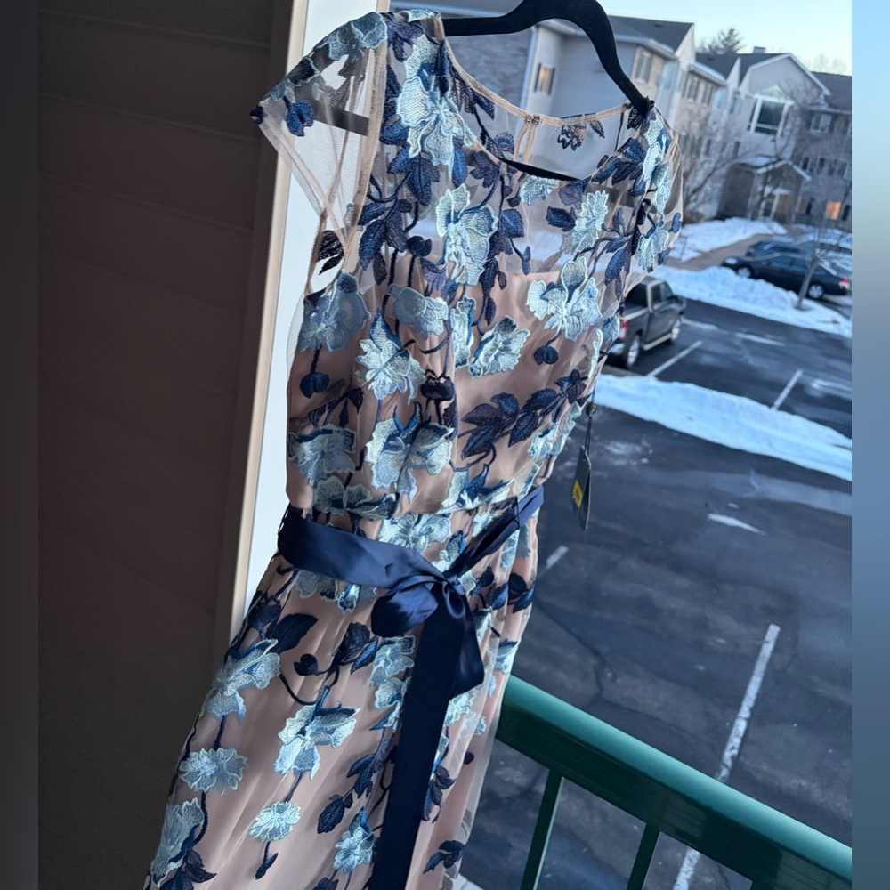 🆕 Adrianna Papell Nude & Blue Embroidered Mesh Gown Floral Column Dress Size 4 - Picture 6 of 17